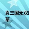 真三国无双魔王降临 真三国无双霸众人齐割草 