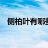 侧柏叶有哪些功效？ 侧柏叶的功效与作用