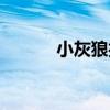 小灰狼打扫视频（小灰狼打印）