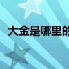 大金是哪里的(历史上大金国现在是什么人)