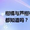 柑橘与芦柑有什么区别 芦柑与橘子的区别你都知道吗？