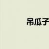 吊瓜子怎么吃 吃吊瓜子的技巧