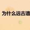 为什么远古遗愿那么贵(dnf远古遗愿是什么)