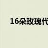 16朵玫瑰代表什么 十六朵玫瑰花的花语
