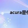 acura是什么车 ACURA是什么品牌