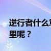 逆行者什么意思 最近总是听说，这词出自哪里呢？