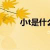 小t是什么意思  小g和小t什么意思