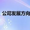 公司发展方向怎么写 公司发展前景怎么表达