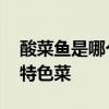 酸菜鱼是哪个地方的菜 酸菜鱼是哪个地方的特色菜