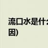 流口水是什么原因(无缘无故流口水是什么原因)