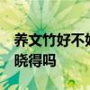 养文竹好不好 问一下各位文竹好养么 有网友晓得吗 