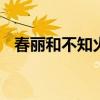 春丽和不知火舞 春丽与不知火舞催眠堕落