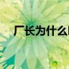 厂长为什么叫厂长(明凯是厂长的真名吗)