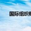国际组织概观！ 国际组织知识点汇总