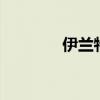 伊兰特Sports标准功能如何