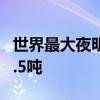 世界最大夜明珠 全球最大夜明珠出世！重达6.5吨