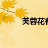 芙蓉花有几种 芙蓉白是什么颜色