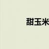 甜玉米种植 玉米的种植和管理