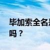 毕加索全名是什么？ 你能念出毕加索的全名吗？