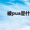 被pua是什么意思梗 跪射是什么意思污