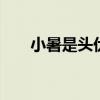 小暑是头伏吗 头伏天从什么时候开始 小暑是头伏吗 头伏天从什么时候开始