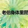 老伯身体里爬出虫子 老伯体内竟有好多虫子