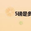 5磅是多少斤(500克相当于几磅)