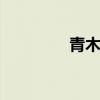 青木瓜 青木瓜可以生吃吗