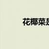 花椰菜是什么 菜花戓花椰菜简介 花椰菜是什么 菜花戓花椰菜简介