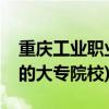 重庆工业职业技术学院怎么样(天津二百多分的大专院校)