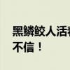 黑鳞鲛人活着的样子 黑鳞鲛人真的存在？我不信！