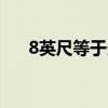 8英尺等于多少米(一公尺等于多少米?)