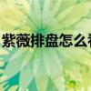 紫薇排盘怎么看 教你快速看懂一个人的命盘！