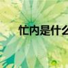 忙内是什么意思(忙内担当是什么意思)