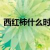 西红柿什么时候传入 各个朝代传入的农作物