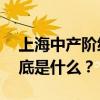 上海中产阶级标准 在上海中产阶级的标准到底是什么？