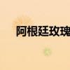 阿根廷玫瑰精油 玫瑰精油的功效与作用