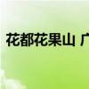 花都花果山 广东花都美林湖花果山景区优质