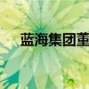 蓝海集团董事长 安英是怎么进入蓝海的