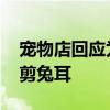 宠物店回应为抬价剪兔耳 宠物店回应为抬价剪兔耳