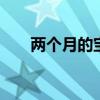 两个月的宝宝吃奶量 多少奶量算正常