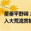 星垂平野阔 月涌大江流的意思 山随平野尽,江入大荒流赏析