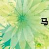 马自达8外观方面展示