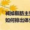 减掉脂肪主要是以什么形式排出体外 脂肪是如何排出体外的