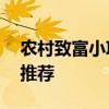 农村致富小项目有哪些 农村零投资养殖项目推荐