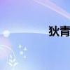 狄青是谁？ 北宋名将狄青
