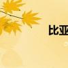 比亚迪SUV标准功能如何