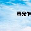 春光乍泄歌词 张碧晨春光乍泄