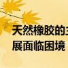 天然橡胶的主要产地在哪里 天然橡胶产业发展面临困境