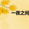 一夜之间歌词 一夜之间白了头歌词